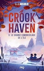 Grand cambriolage île d'occasion  Livré partout en Belgiqu
