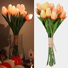 Minidiva pcs tulips for sale  Delivered anywhere in USA 