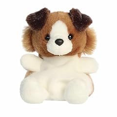 Aurora adorable palm for sale  Delivered anywhere in USA 