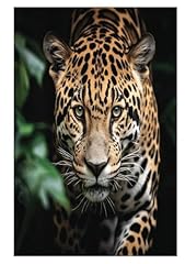 Jaguar cat for sale  Delivered anywhere in UK