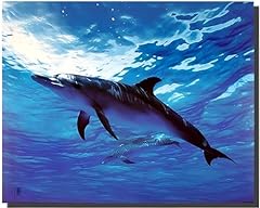 Dolphin bottlenose underwater for sale  Delivered anywhere in USA 
