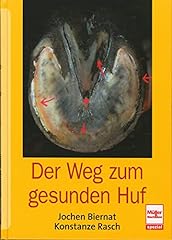 Weg zum gesunden gebraucht kaufen  Wird an jeden Ort in Deutschland