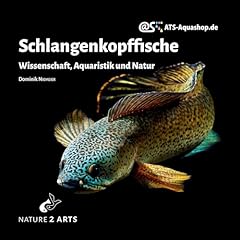 Schlangenkopffische wissenscha gebraucht kaufen  Wird an jeden Ort in Deutschland
