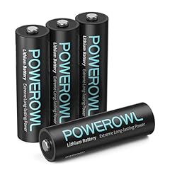 Batteria litio powerowl usato  Spedito ovunque in Italia 