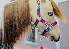 Star point horsemanship for sale  Delivered anywhere in USA 