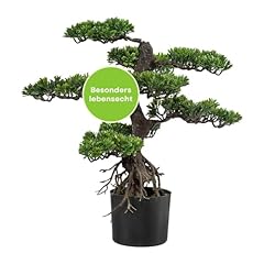 Creativ green künstlicher gebraucht kaufen  Wird an jeden Ort in Deutschland