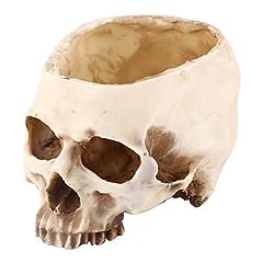 Yosoo cranio teschio usato  Spedito ovunque in Italia 