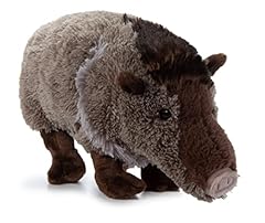 Petting zoo javelina for sale  Delivered anywhere in USA 