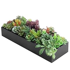Mygift artificial succulent for sale  Delivered anywhere in USA 
