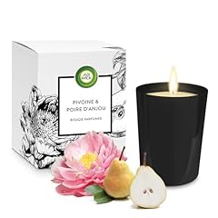 Air wick bougie d'occasion  Livré partout en France