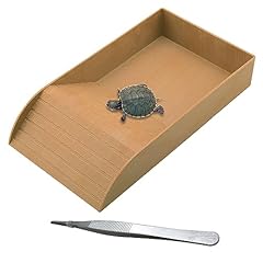 Kathson reptile tortoise for sale  Delivered anywhere in USA 