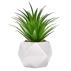 Artificial succulent plants for sale  Delivered anywhere in USA 