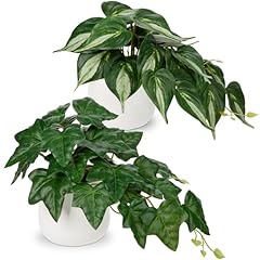 Gnflus fake plants for sale  Delivered anywhere in USA 