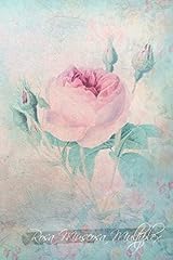 Rosa muscosa multiplex d'occasion  Livré partout en France