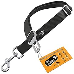 Active pets dog for sale  Delivered anywhere in USA 