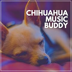 Chihuahua music buddy for sale  Delivered anywhere in USA 