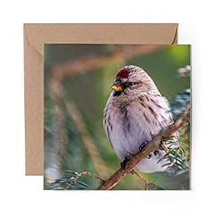 Greeting card redpoll for sale  Delivered anywhere in UK
