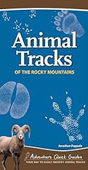 Animal tracks rocky for sale  Delivered anywhere in USA 