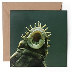 Greeting card bristlenose for sale  Delivered anywhere in UK
