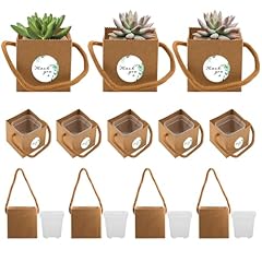 Set tiny succulent for sale  Delivered anywhere in USA 