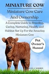 Miniature cows complete for sale  Delivered anywhere in USA 