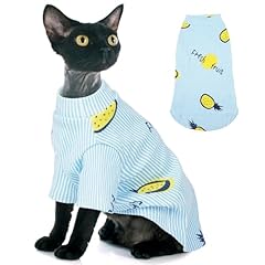 Chaque sphynx cat for sale  Delivered anywhere in USA 
