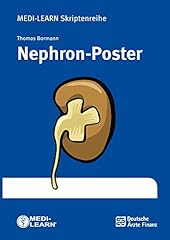 Nephron poster medi gebraucht kaufen  Wird an jeden Ort in Deutschland