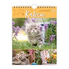 Trötsch wochenkalender zum gebraucht kaufen  Wird an jeden Ort in Deutschland