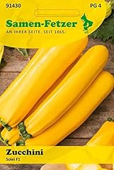 Zucchini solei f1 gebraucht kaufen  Wird an jeden Ort in Deutschland