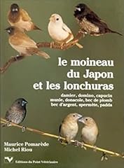 Moineau japon lonchuras d'occasion  Livré partout en France