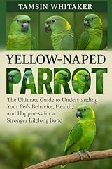 Yellow naped parrot for sale  Delivered anywhere in USA 