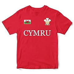 Cymru flag badge for sale  Delivered anywhere in UK