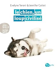 Chien loup civilisé d'occasion  Livré partout en France