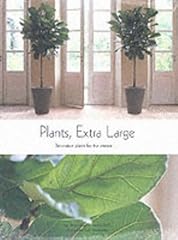 Plants extra large for sale  Delivered anywhere in USA 