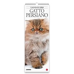 Calendario gatto persiano usato  Spedito ovunque in Italia 