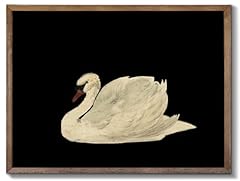 Xocuui vintage swan for sale  Delivered anywhere in USA 