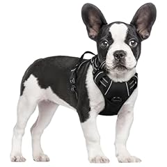 Rabbitgoo dog harness for sale  Delivered anywhere in USA 