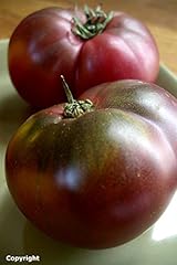 Cherokee purple heirloom for sale  Delivered anywhere in USA 