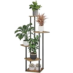 Lighterday tier plant for sale  Delivered anywhere in UK