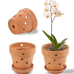 Inches terracotta orchid for sale  Delivered anywhere in USA 