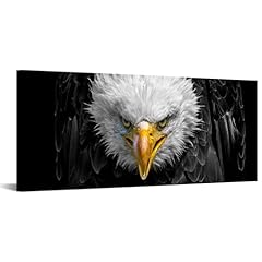 Levvarts large size for sale  Delivered anywhere in USA 