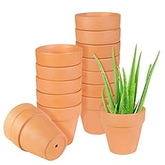 Ehwine terracotta pots for sale  Delivered anywhere in USA 