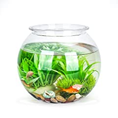 Nobleza kugelaquarium bruchsic gebraucht kaufen  Wird an jeden Ort in Deutschland