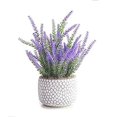 Cadnly fake lavender for sale  Delivered anywhere in USA 