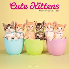 Graphique 2025 cute for sale  Delivered anywhere in USA 