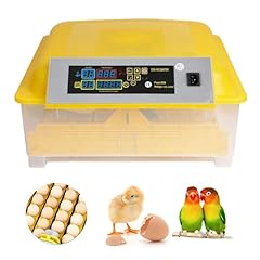 Aceshin eggs incubator for sale  Delivered anywhere in USA 