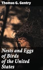 Nests eggs birds for sale  Delivered anywhere in UK