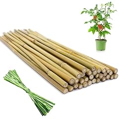 Pcs garden stakes for sale  Delivered anywhere in USA 