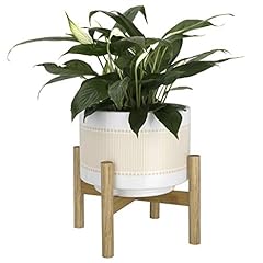 Jolie muse ceramic for sale  Delivered anywhere in USA 