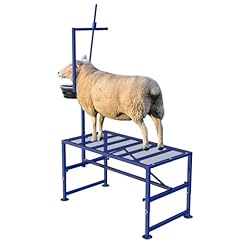 Lezbanz 600 lbs for sale  Delivered anywhere in USA 
